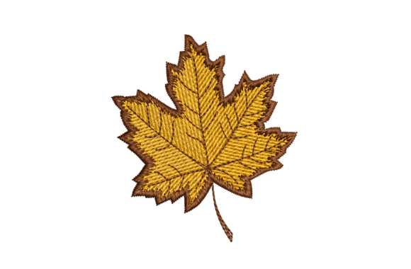Autumn Maple Leaf