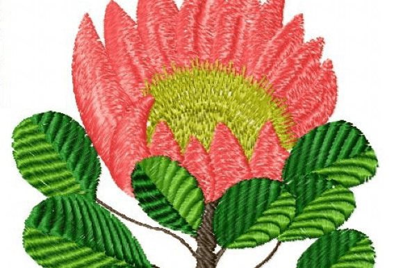 Protea Rose Embroidery Design